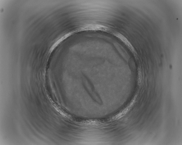 X0000087630834200705311326