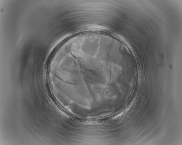 X0000087630835200705311326