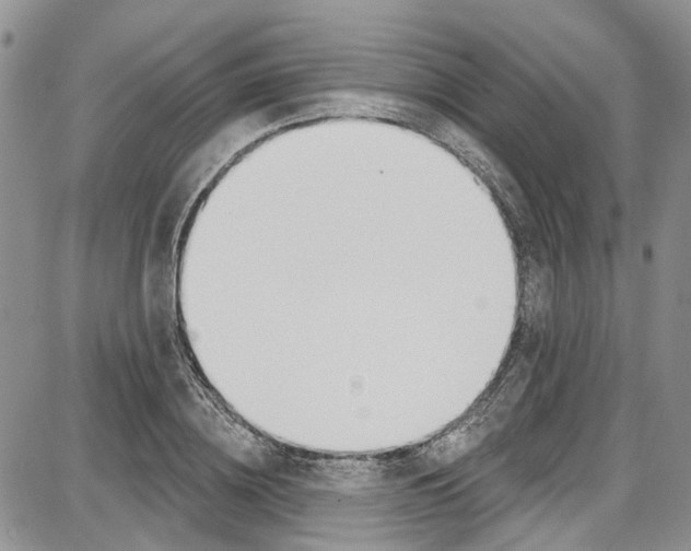 X0000087630836200705311326