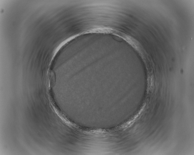 X0000087630838200705311326