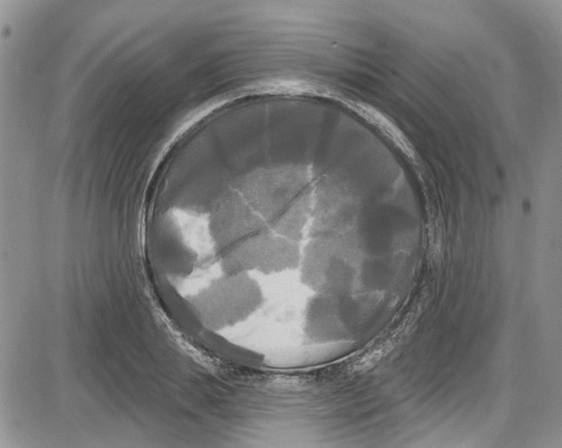 X0000087630839200705311326