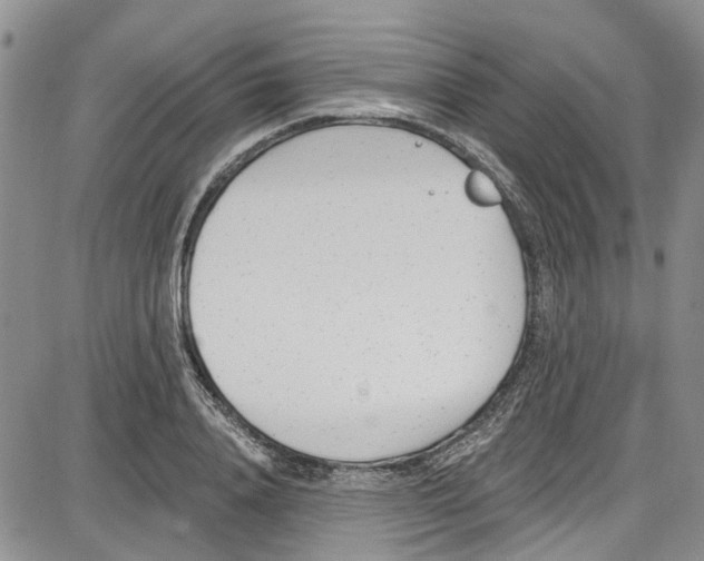 X0000087630840200705311326