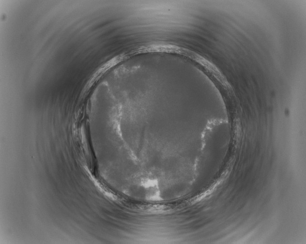 X0000087630841200705311326