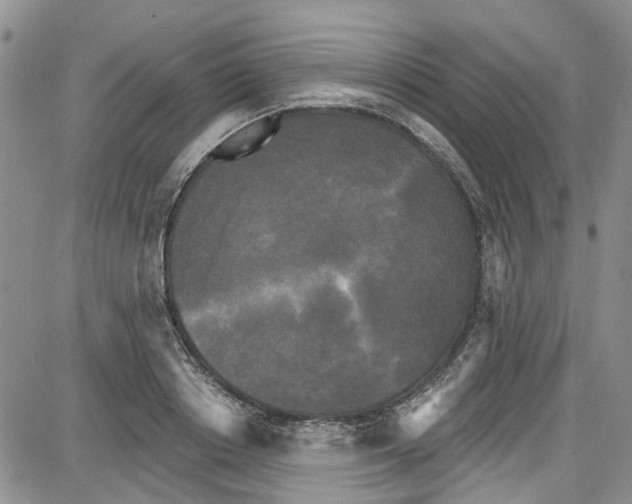 X0000087630842200705311326