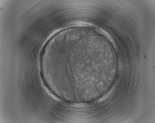 X0000087630843200705311326