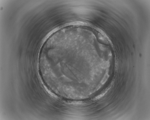 X0000087630845200705311327