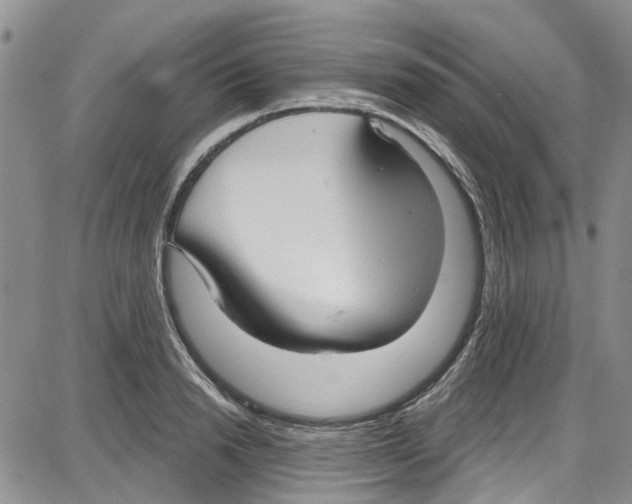 X0000087630846200705311327