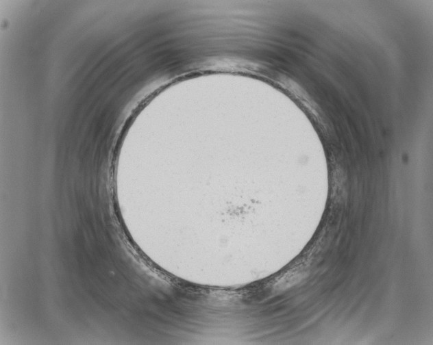 X0000087630848200705311327