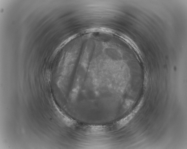 X0000087630849200705311327