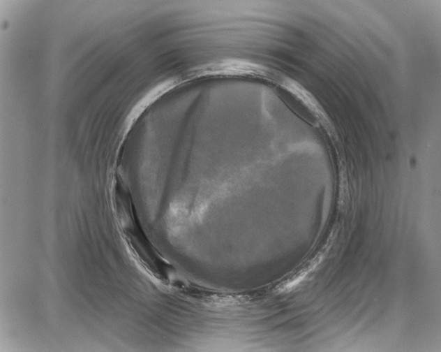 X0000087630850200705311327