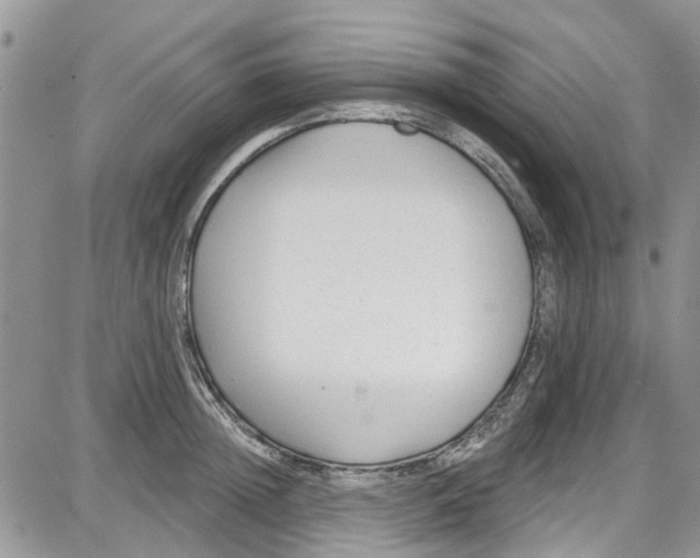 X0000087630852200705311327