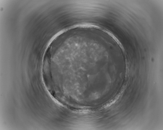 X0000087630853200705311327