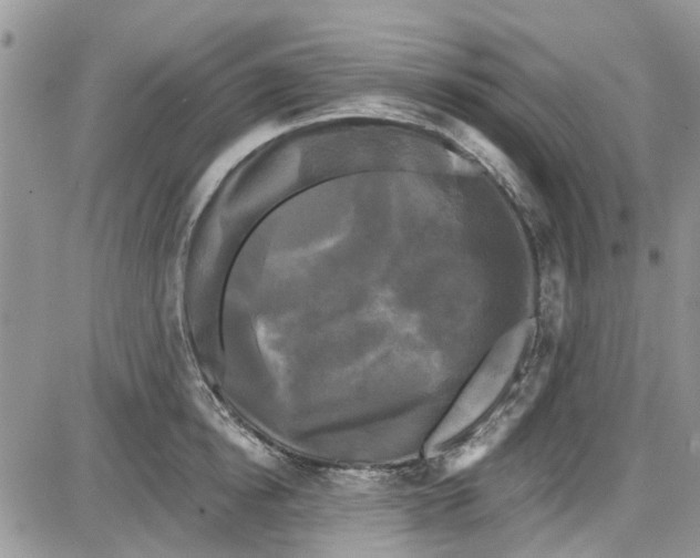 X0000087630854200705311327