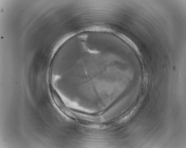 X0000087630855200705311327