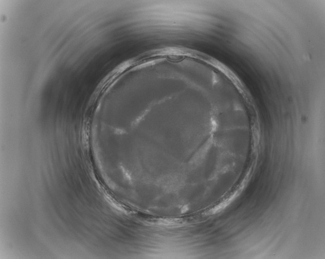 X0000087630857200705311327