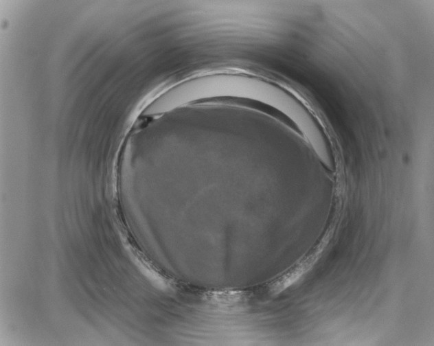 X0000087630858200705311327