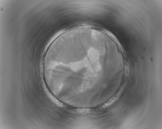 X0000087630859200705311327