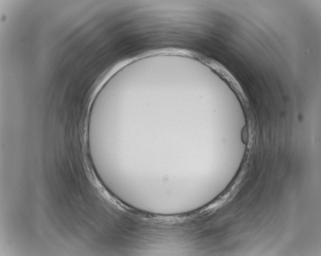 X0000087630860200705311327