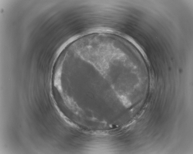 X0000087630861200705311327