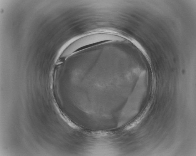 X0000087630862200705311327