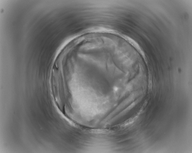 X0000087630863200705311327