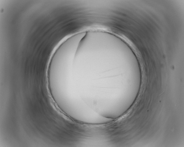 X0000087630864200705311327