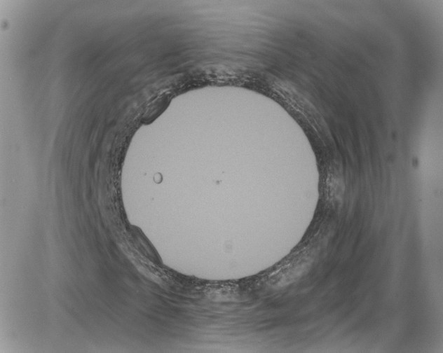 X0000087630865200705311326