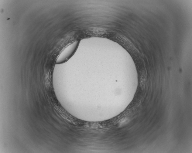 X0000087630866200705311326