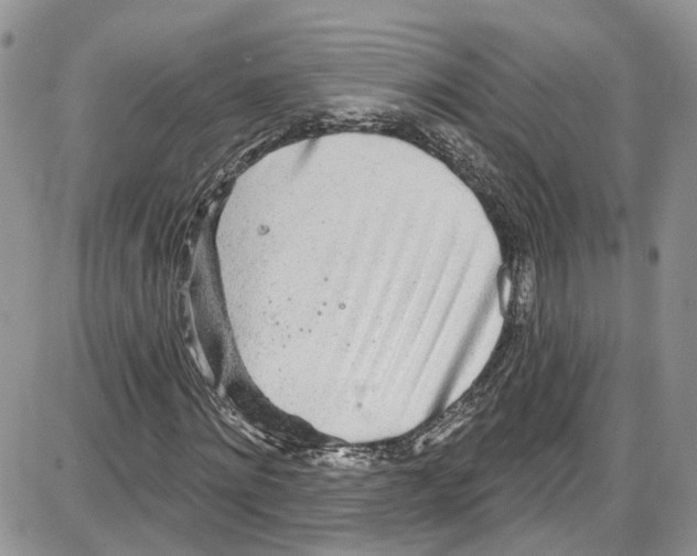 X0000087630868200705311326