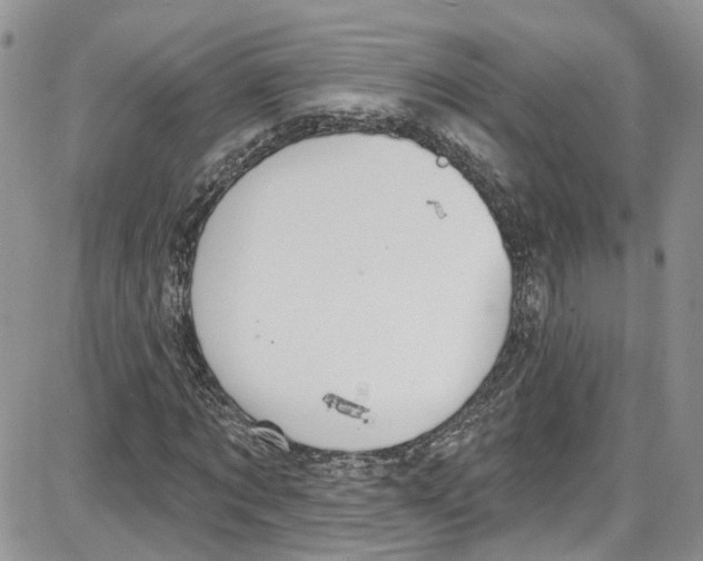 X0000087630869200705311326