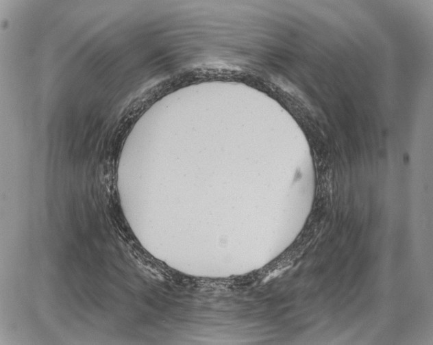 X0000087630870200705311326