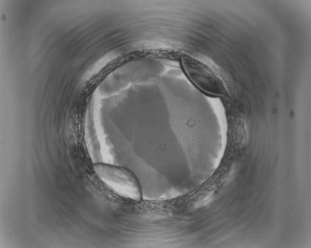 X0000087630871200705311326