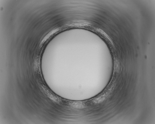 X0000087630874200705311326