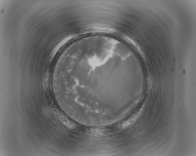 X0000087630875200705311326