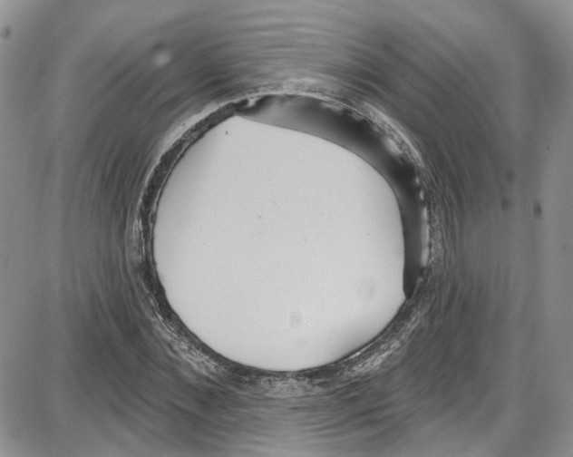 X0000087630876200705311326