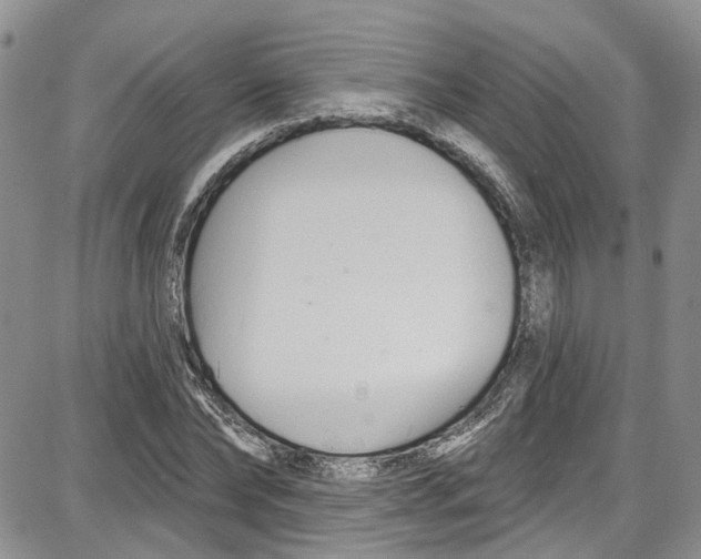 X0000087630878200705311326