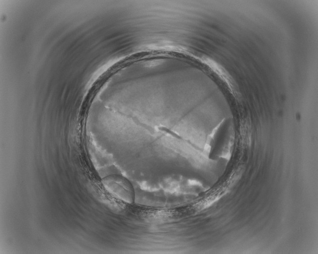 X0000087630879200705311326