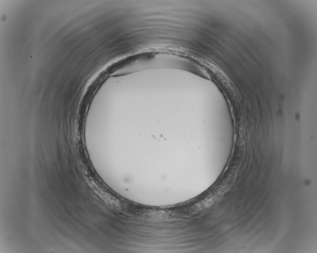 X0000087630880200705311326