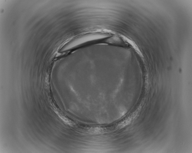 X0000087630881200705311326