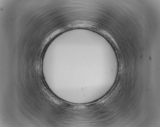 X0000087630882200705311326