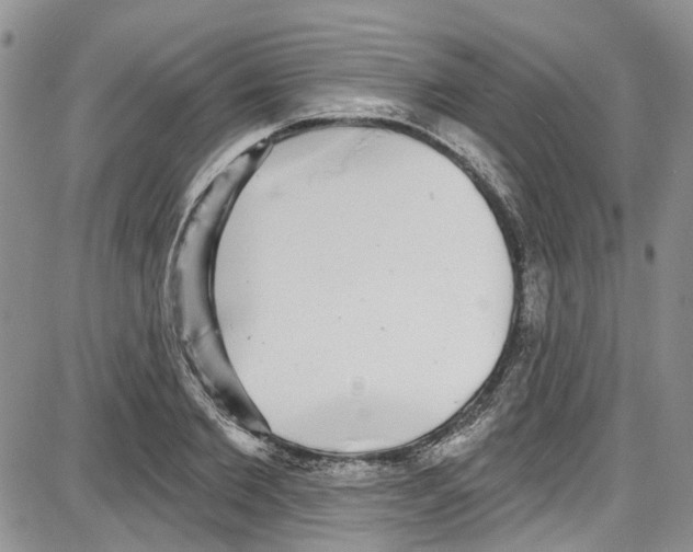 X0000087630885200705311326