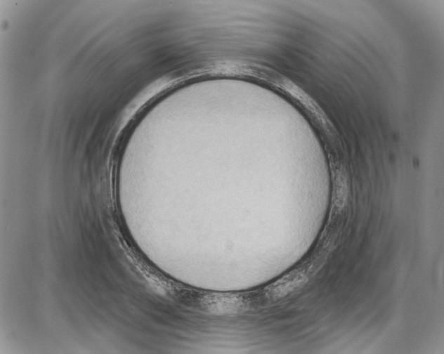 X0000087630886200705311326