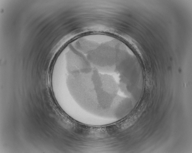 X0000087630887200705311326