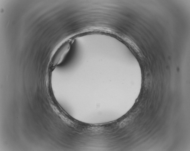 X0000087630888200705311326