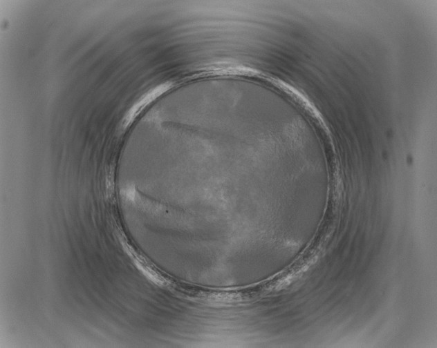 X0000087630889200705311326