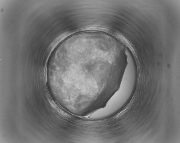 X0000087630892200705311326