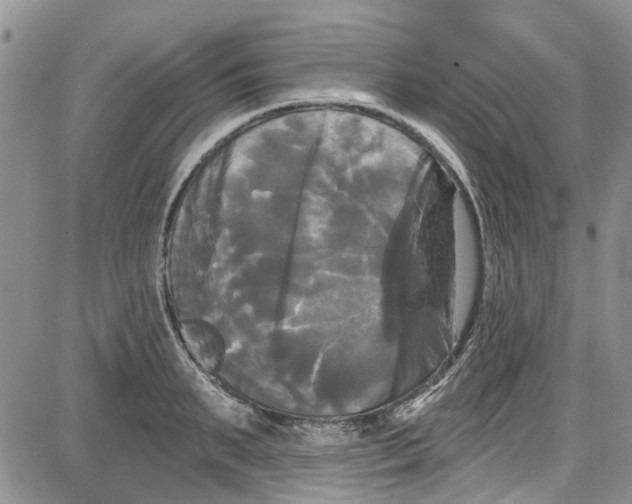 X0000087630895200705311326