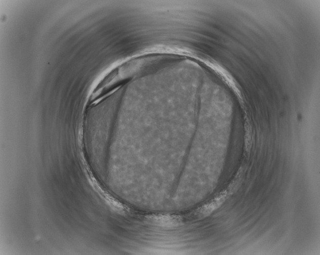 X0000087630896200705311326