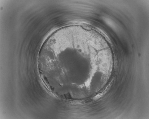 X0000087630899200705311326