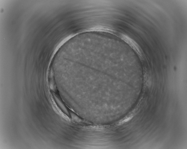 X0000087630900200705311325